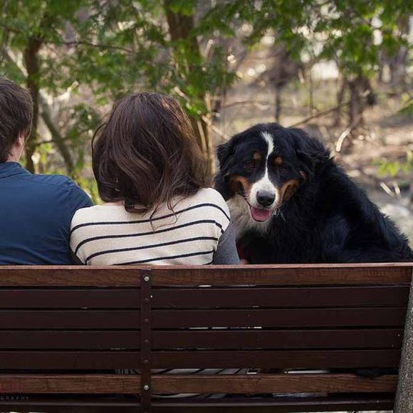 Meet your Posher, Samantha - Picture 1 of 1